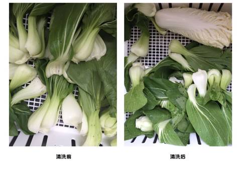 洗碗机清洗海鲜是通过超声波的方法电击水流(图2)