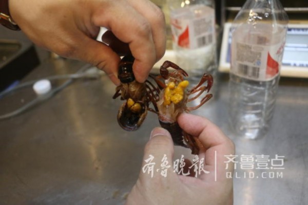 济南小龙虾店争打卫生牌“剪”每月支出近万元(图3)