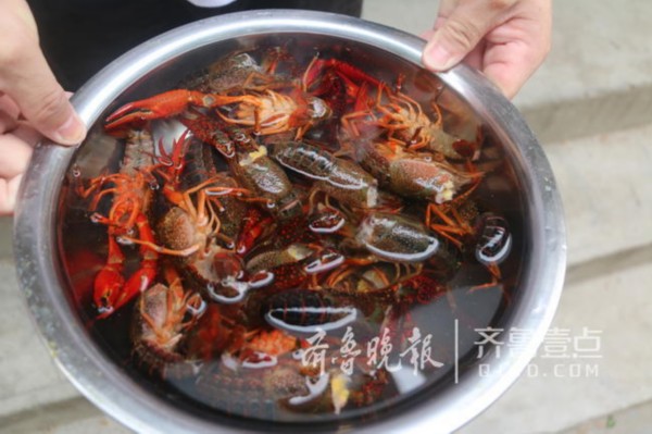 济南小龙虾店争打卫生牌“剪”每月支出近万元(图2)