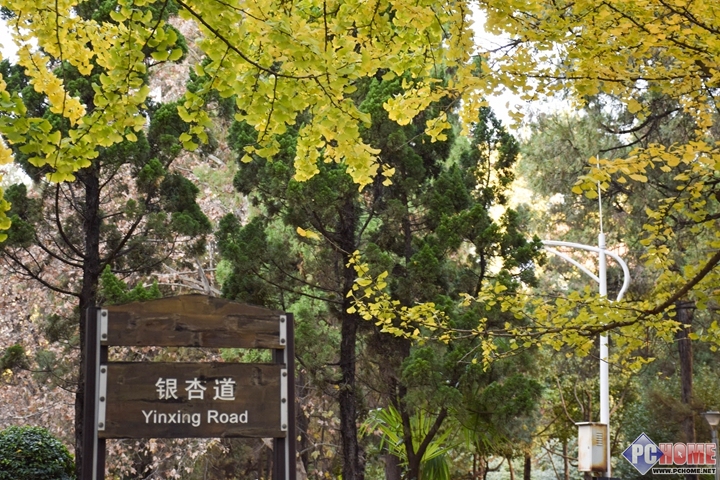 旅途好伙伴 我与YOGA平板3的红土之旅(图13)