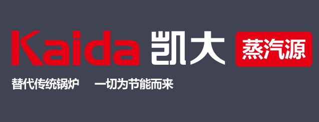 燃气蒸汽发生器(图1)
